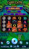 Cash Cats