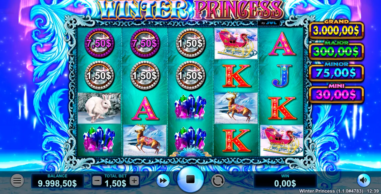 Winter Princess Screenshot