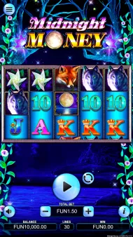 Midnight Money Screenshot