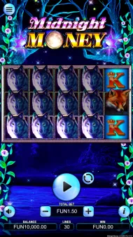 Midnight Money Screenshot