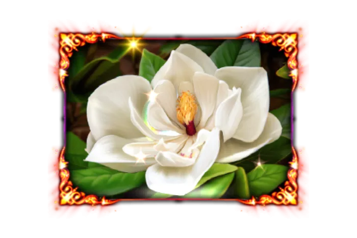 Whispers of the Southern Bloom &ndash; Bayou Richesse